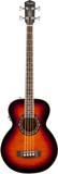 4-string Acoustic Bass Guitars