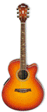 Other Steel String Guitars