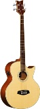 Lefthanded Acoustic Bass Guitars