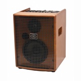 Amplifiers for Acoustic Guitars