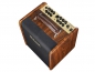 Preview: RAC-50 |Richwood acoustic guitar amplifier