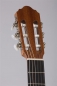 Preview: VOLT concert guitar. Stud. KG-6000 (4/4 high gloss)