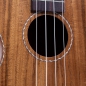 Preview: Volt Ukulele Milano Concerto