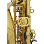 Preview: Jupiter JASSTRQ  Stellar Alto Saxophone