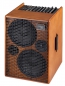Preview: Acus One 10 Acoustic Amp