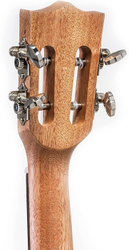Preview: Volt Ukulele Texas Tenor