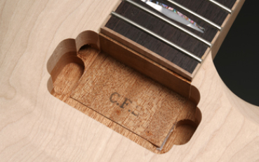 FGN Neo Classic LC10