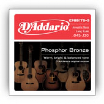 Daddario EPBB170-5 Phosphor Bronze 5-String Acoustic Bass, Long Scale, 45-130