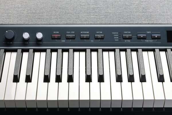Kurzweil KaP1 portable digital piano Stagepiano